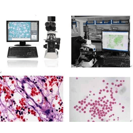 布朗運動觀察奧林巴斯顯微鏡CX21-CV320