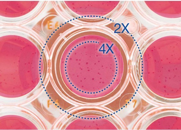 倒置相差顯微鏡CKX53 倒置相差顯微鏡CKX53