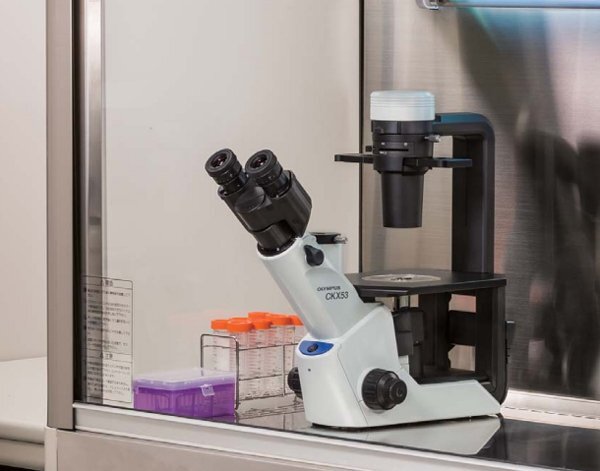 倒置相差顯微鏡CKX53 倒置相差顯微鏡CKX53