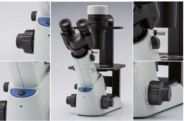 倒置相差顯微鏡CKX53 倒置相差顯微鏡CKX53