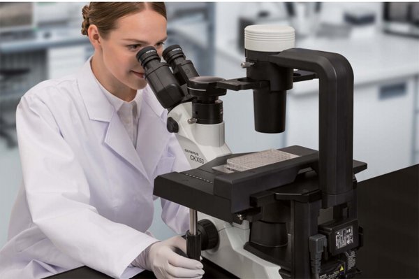 倒置相差顯微鏡CKX53 倒置相差顯微鏡CKX53