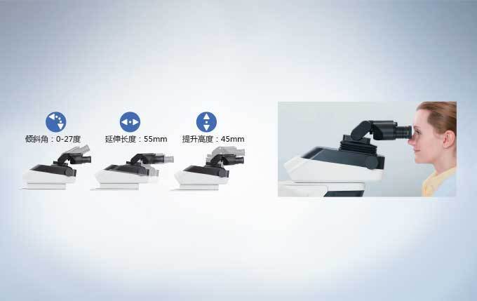 可調節高度的雙目鏡筒 可調節高度的雙目鏡筒