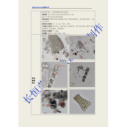 中藥材圖像分析軟件image?Analysis?System11